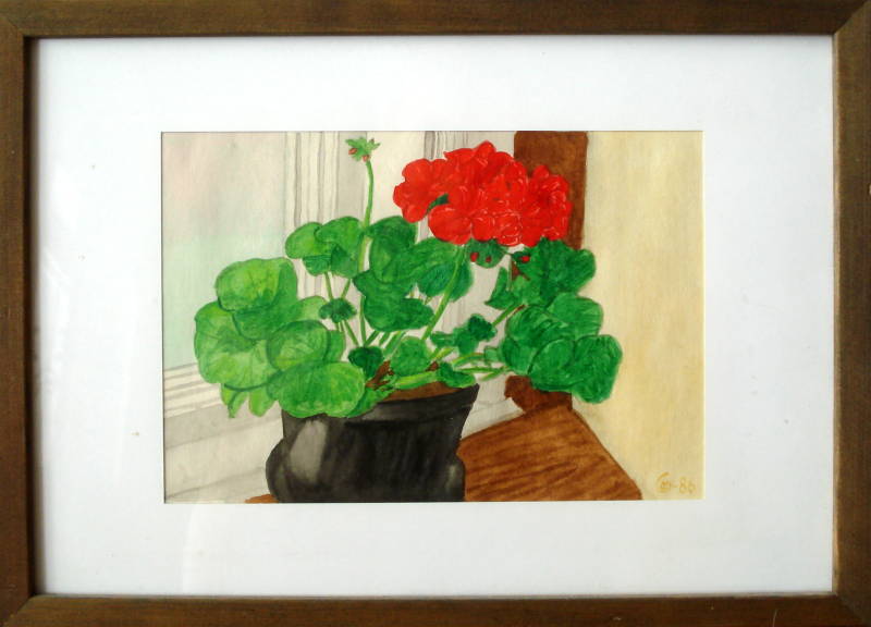 BLOMMA