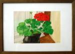BLOMMA
