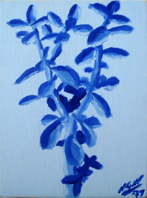 Blå Växt